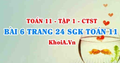 Bài 6 trang 24 SGK Toán 11 Tập 1 Chân trời sáng tạo
